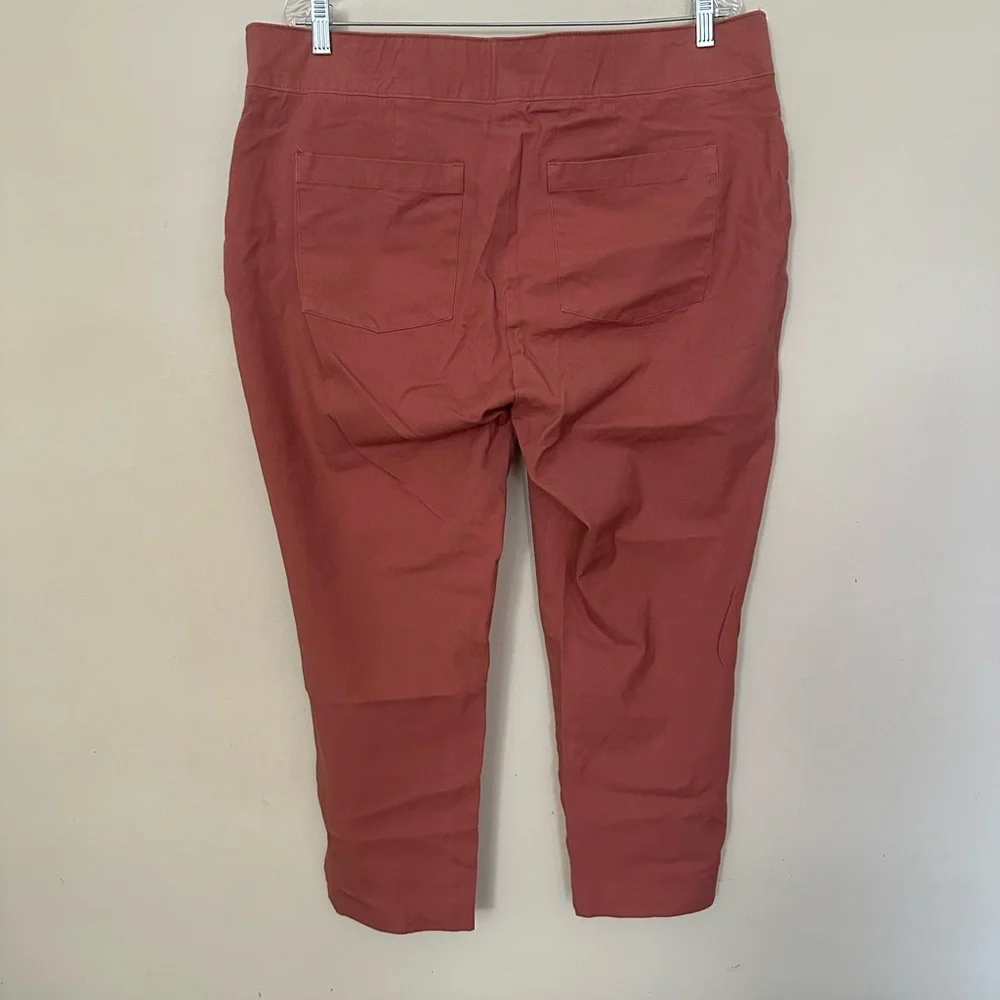 SPANX On-the-Go Ankle Slim Straight Pant! - Picture 5 of 9